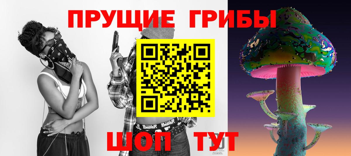 где найти   Вход с VPN  Горно-Алтайск  Галлюциногенные грибы Magic Shrooms 