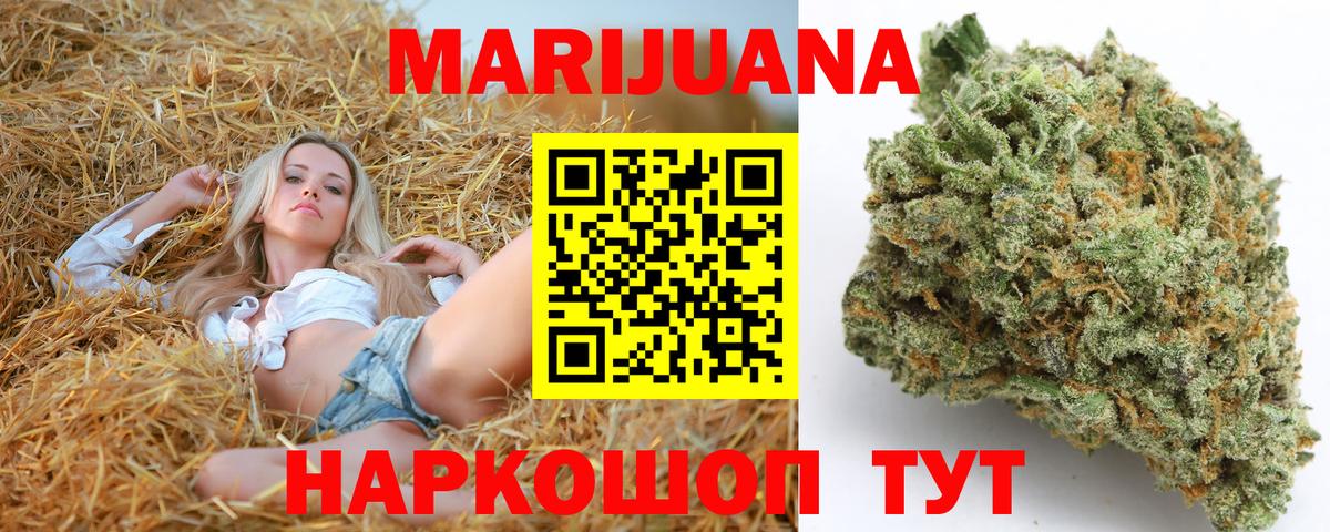 Марихуана планчик  МАРИХУАНА ГИДРОПОН  Вход с VPN  Горно-Алтайск  Марихуана конопля 
